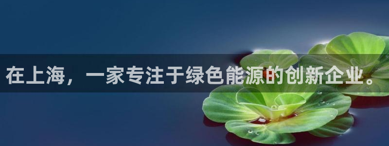 新宝gg评论：在上海，一家专注于绿色能源
