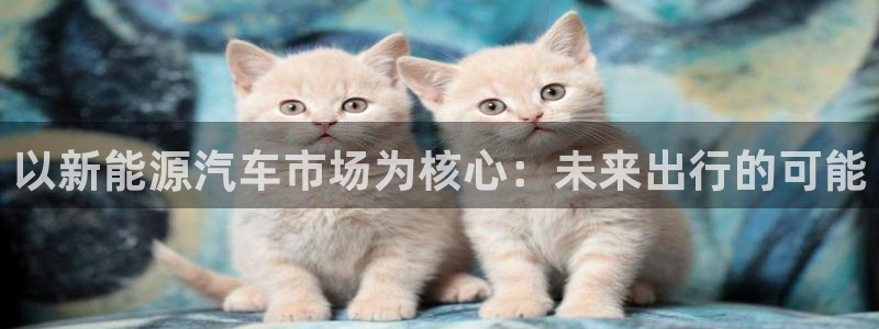 新宝gg平台开户：以新能源汽车市场为核心