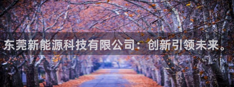 关于新宝GG：东莞新能源科技有限公司：创