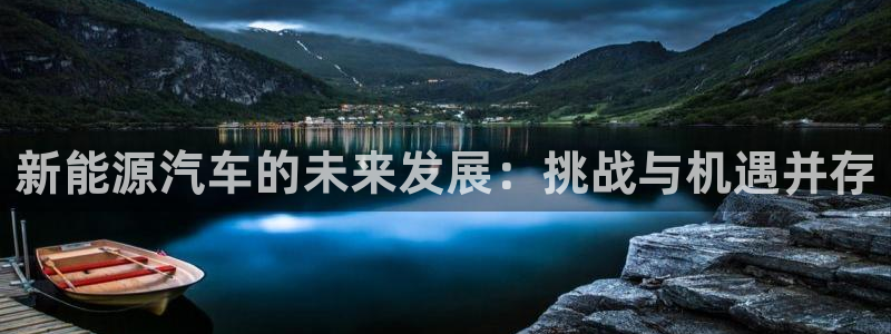 新宝gg地址：新能源汽车的未来发展：挑战