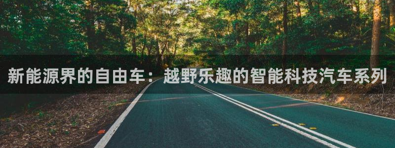 新宝gg玩：新能源界的自由车：越野乐趣的
