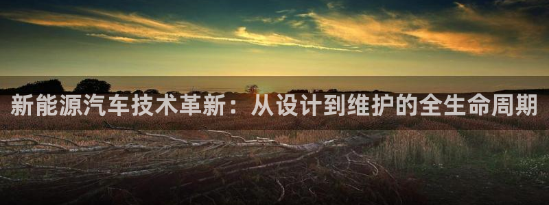 新宝gg是新宝几：新能源汽车技术革新：从