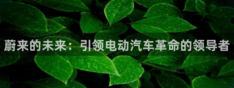 新宝gg主管开：蔚来的未来：引领电动汽车