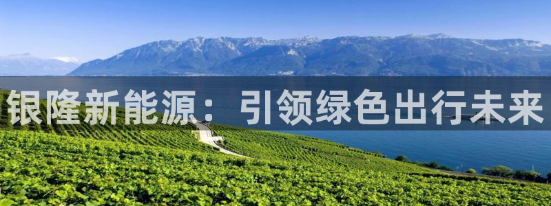 新宝+gg+登录：银隆新能源：引领绿色出