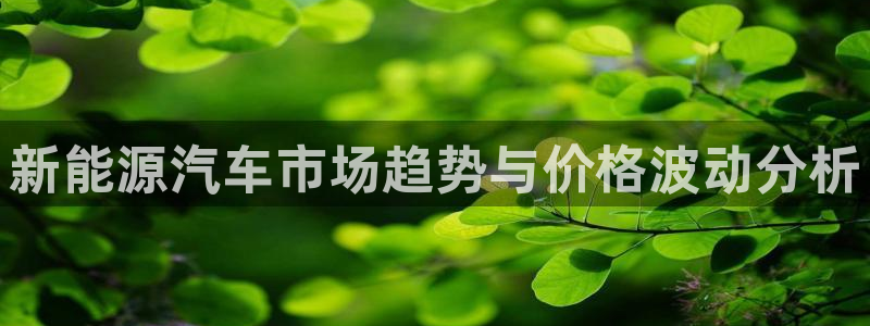 新宝新宝gg开户流程:新能源汽车市场趋势与价格波动分析