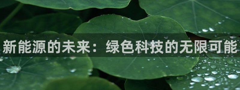 新宝gg注册:新能源的未来:绿色科技的无限可能