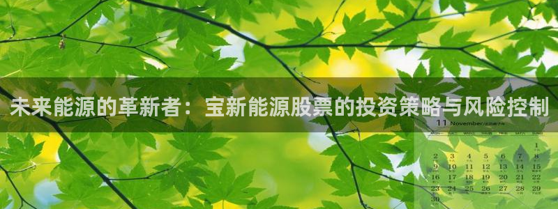新宝gg代理登录:未来能源的革新者:宝新能源股票的投资策略与