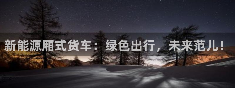 宝新gg:新能源厢式货车:绿色出行,未来范儿!